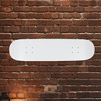 Skate - Horizontal - Loft Porsche Design